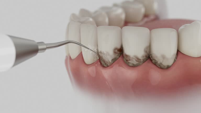 Reliable Dental contractor in Quincy, MI by Dentist Open Now